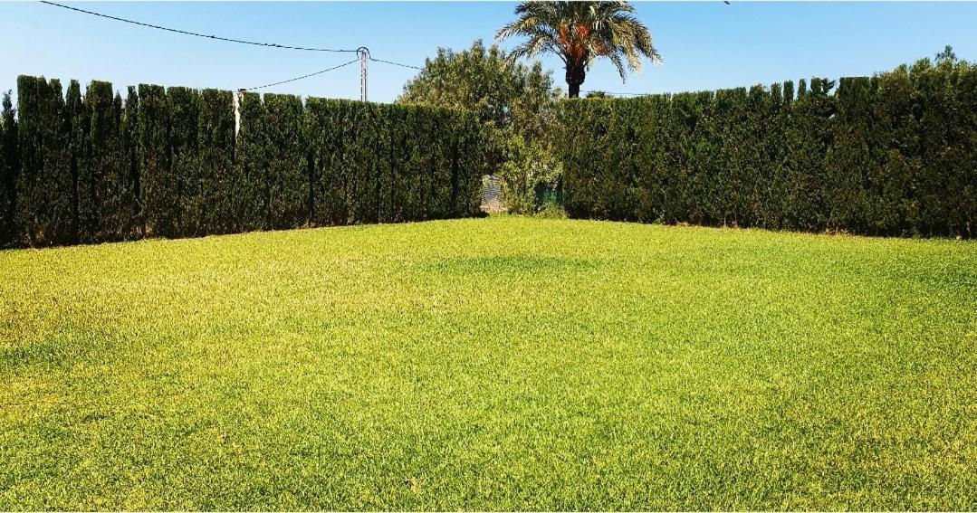 Chalet Cami de Merle Denia Dış mekan fotoğraf